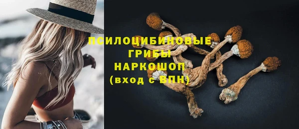 MDMA Богородицк