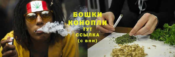 амф Богородск