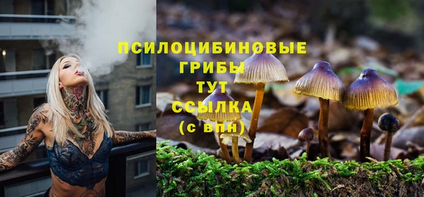 амф Богородск