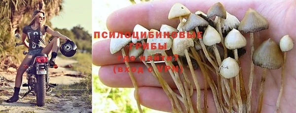 кристаллы Богданович